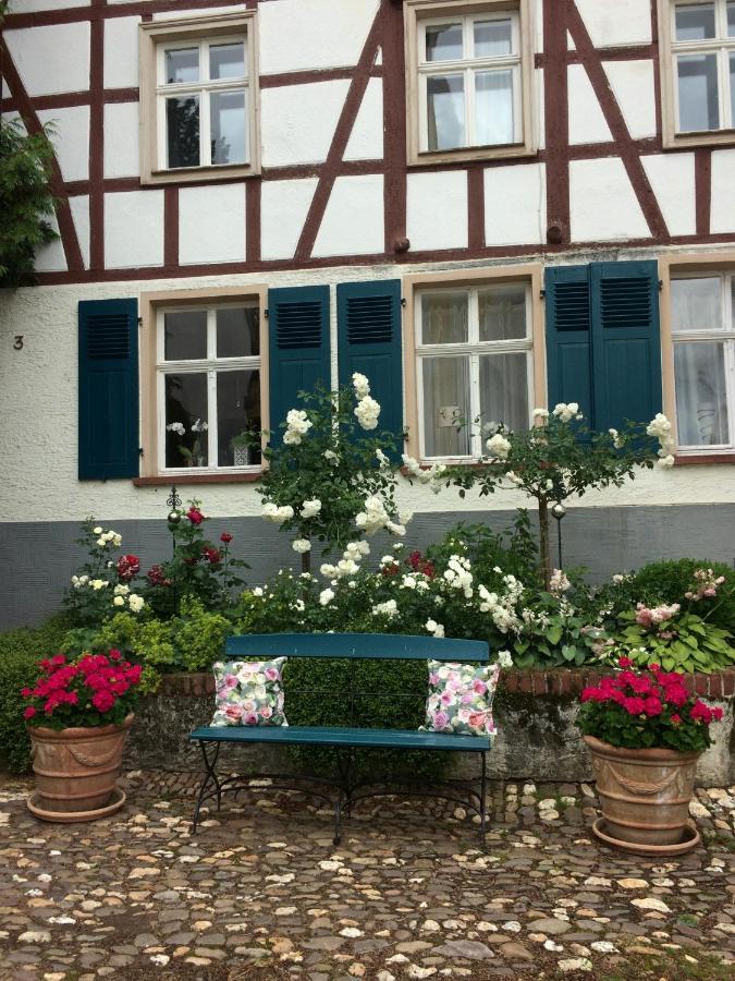 Altes Winzerhaus Lenz Lägenhet Pünderich Exteriör bild